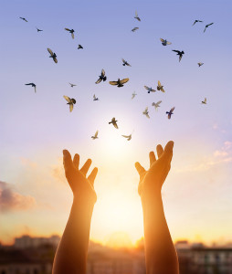 hands releasing a flock of birds with a sunset in the background